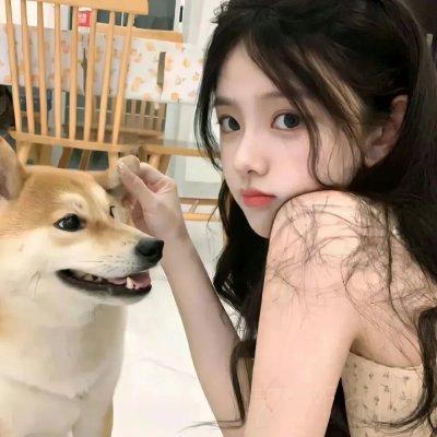 秘密图纸电影版